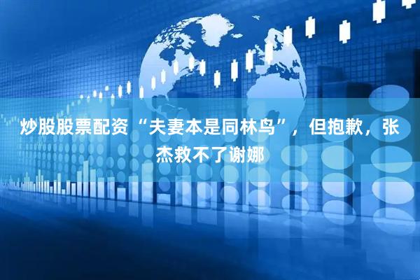 炒股股票配资 “夫妻本是同林鸟”，但抱歉，张杰救不了谢娜